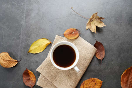 brown roasted coffee beans and coffee cupの写真素材