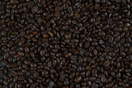 brown roasted coffee beans and coffee cupの写真素材