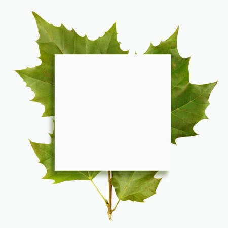 autumn background, autumn frame&objectの写真素材