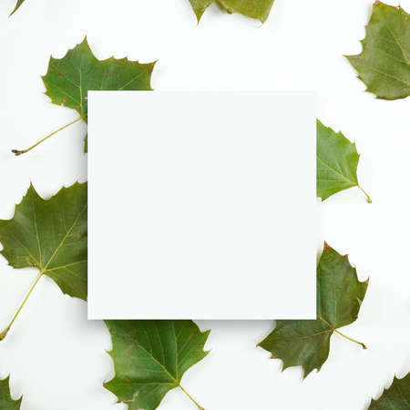 autumn background, autumn frame&objectの写真素材