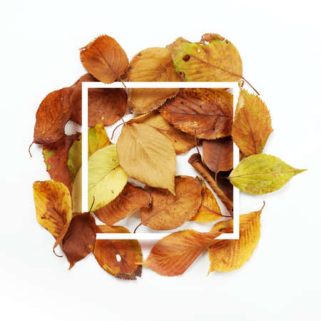 autumn background, autumn frame&object