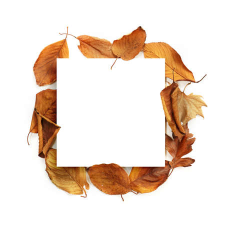 autumn background, autumn frame&objectの写真素材