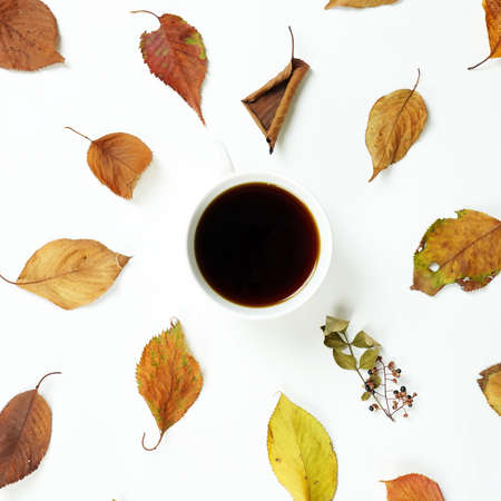 autumn background, autumn frame&object