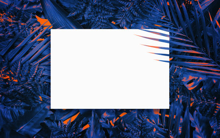 Fluorescent summer background, abstract summer frame&bannerの写真素材