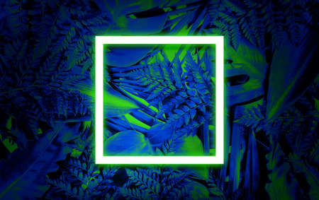 Fluorescent summer background, abstract summer frame&bannerの写真素材