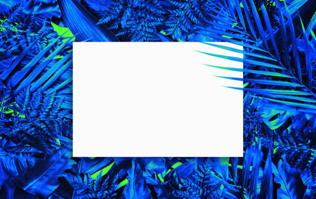 Fluorescent summer background, abstract summer frame&bannerの写真素材