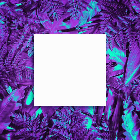 Fluorescent summer background, abstract summer frame&bannerの写真素材