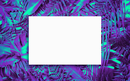 Fluorescent summer background, abstract summer frame&bannerの写真素材