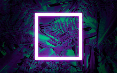 Fluorescent summer background, abstract summer frame&bannerの写真素材