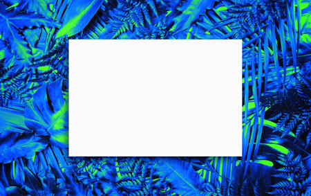 Fluorescent summer background, abstract summer frame&bannerの写真素材