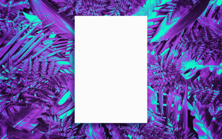 Fluorescent summer background, abstract summer frame&bannerの写真素材