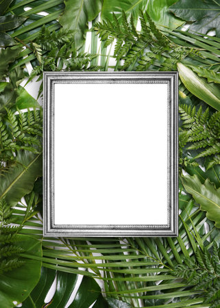 Fluorescent summer background, abstract summer frame&bannerの写真素材