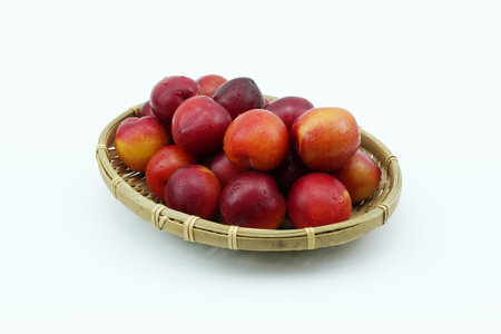 Summer season fruit plumの写真素材