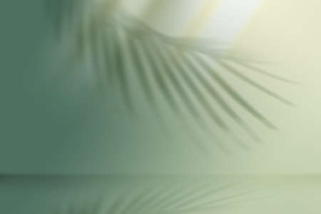 nature landscape, summer frame and free space for text, summer background