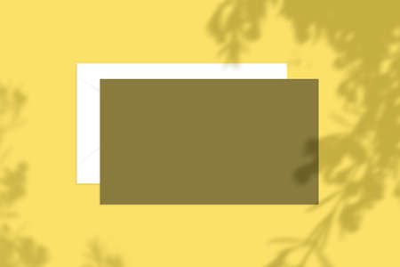 nature landscape, summer frame and free space for text, summer background
