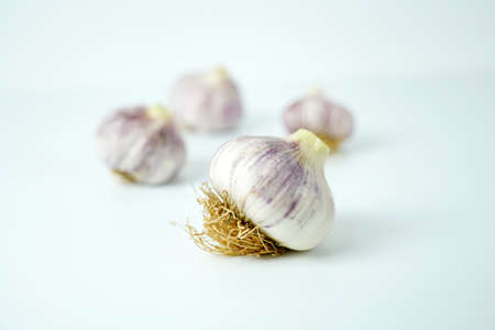 Fresh garlic, Delicious garlic isolated on color backgroundの写真素材
