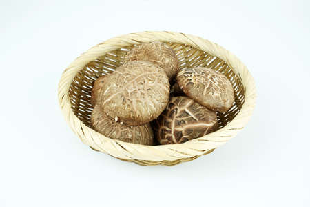 Fresh shiitake mushroom isolated,Dried mushrooms on white backgroundの写真素材