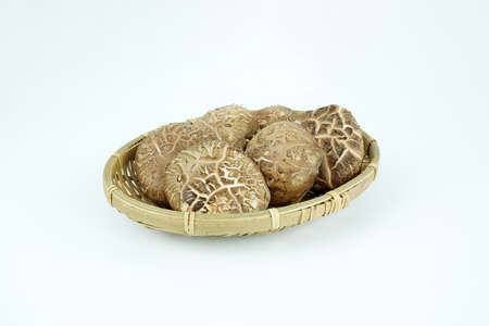 Fresh shiitake mushroom isolated,Dried mushrooms on white backgroundの写真素材