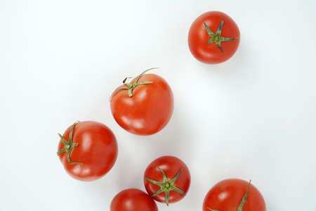 Fresh and nutritious tomato objectの写真素材