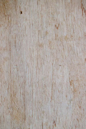 Various high-resolution background textures, Wooden patternの写真素材