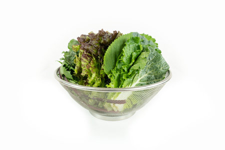 Variety of fresh vegetables, green cropsの写真素材