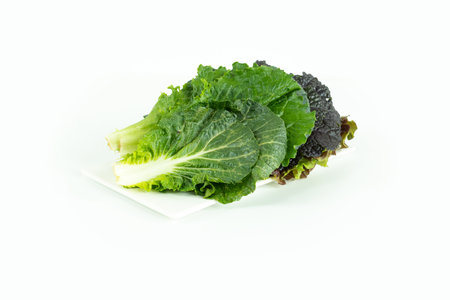 Variety of fresh vegetables, green cropsの写真素材