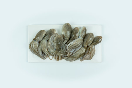 Fresh seafood ingredients and recipes,fresh octopus