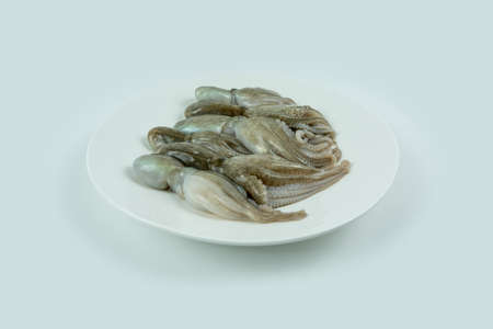 Fresh seafood ingredients and recipes,fresh octopus