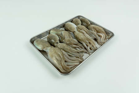 Fresh seafood ingredients and recipes,fresh octopusの写真素材
