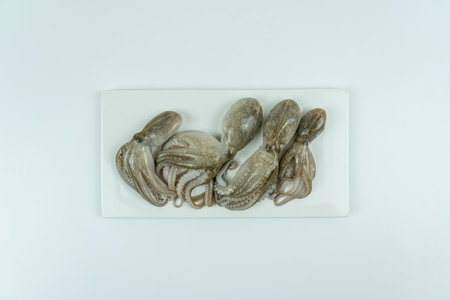 Fresh seafood ingredients and recipes,fresh octopusの写真素材