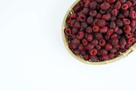 Fresh raspberry, Delicious raspberry isolated on color backgroundの写真素材