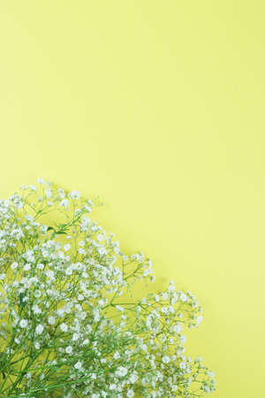 beautiful coral color spring flowers, carnations, roses, moss backgroundの写真素材