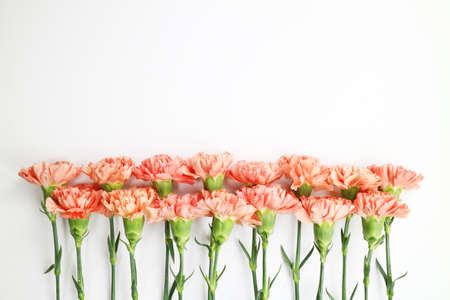 beautiful coral color spring flowers, carnations, roses, moss backgroundの写真素材
