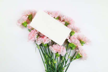 beautiful coral color spring flowers, carnations, roses, moss backgroundの写真素材