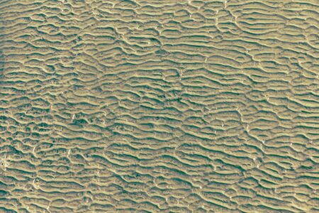 Flowing wet mud texture