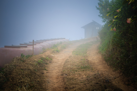 An barn appears out of a thick morning mist.の写真素材