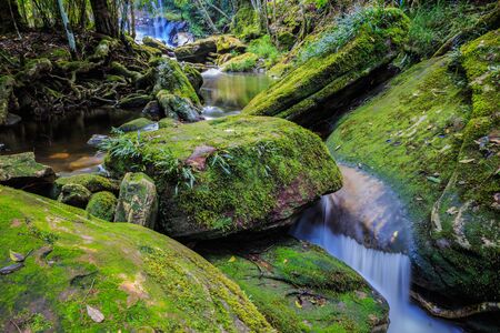 Thamsor nuo Waterfall Phukradueng National Park Loei Thailandの写真素材