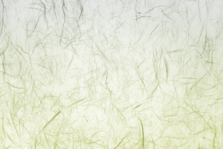 Chinese rice paperの写真素材