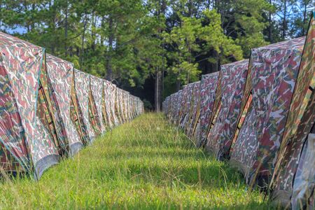 tent camping at Phu Kradueng National park Loei province Thailandの写真素材