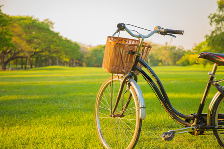 Bicycle in the parkの写真素材