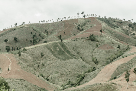 The mountain complex in the northern region of Thailandの写真素材