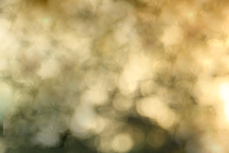 Romantic bokeh background,golden lights,bokeh lightの写真素材