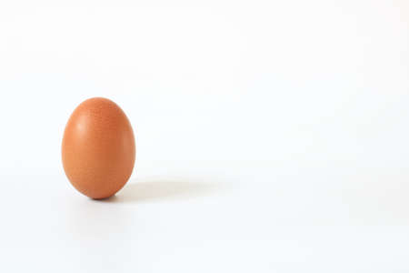 minimal single chicken egg on white background , isolatedの写真素材