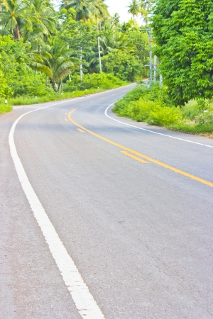 Dangerous curves in Thaiの写真素材