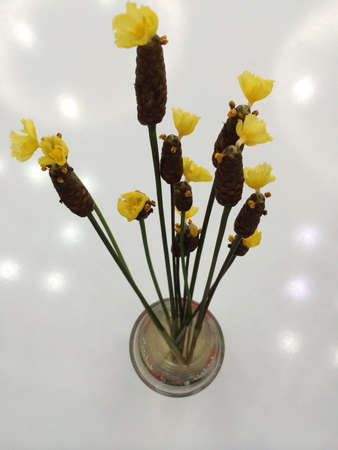 yellow flowerの素材