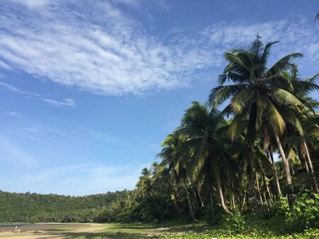 Beach Chumporn Thailandの素材