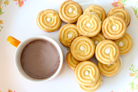 Coco and cookieの写真素材