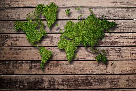 World map background with grass field and wood texture.の写真素材