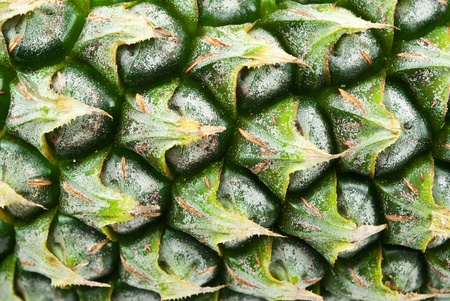 Green pineapple texture background.