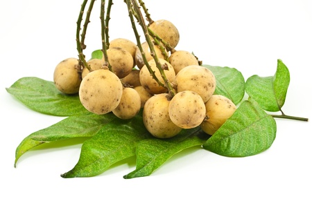 Longkong fruit isolated on the white.の写真素材